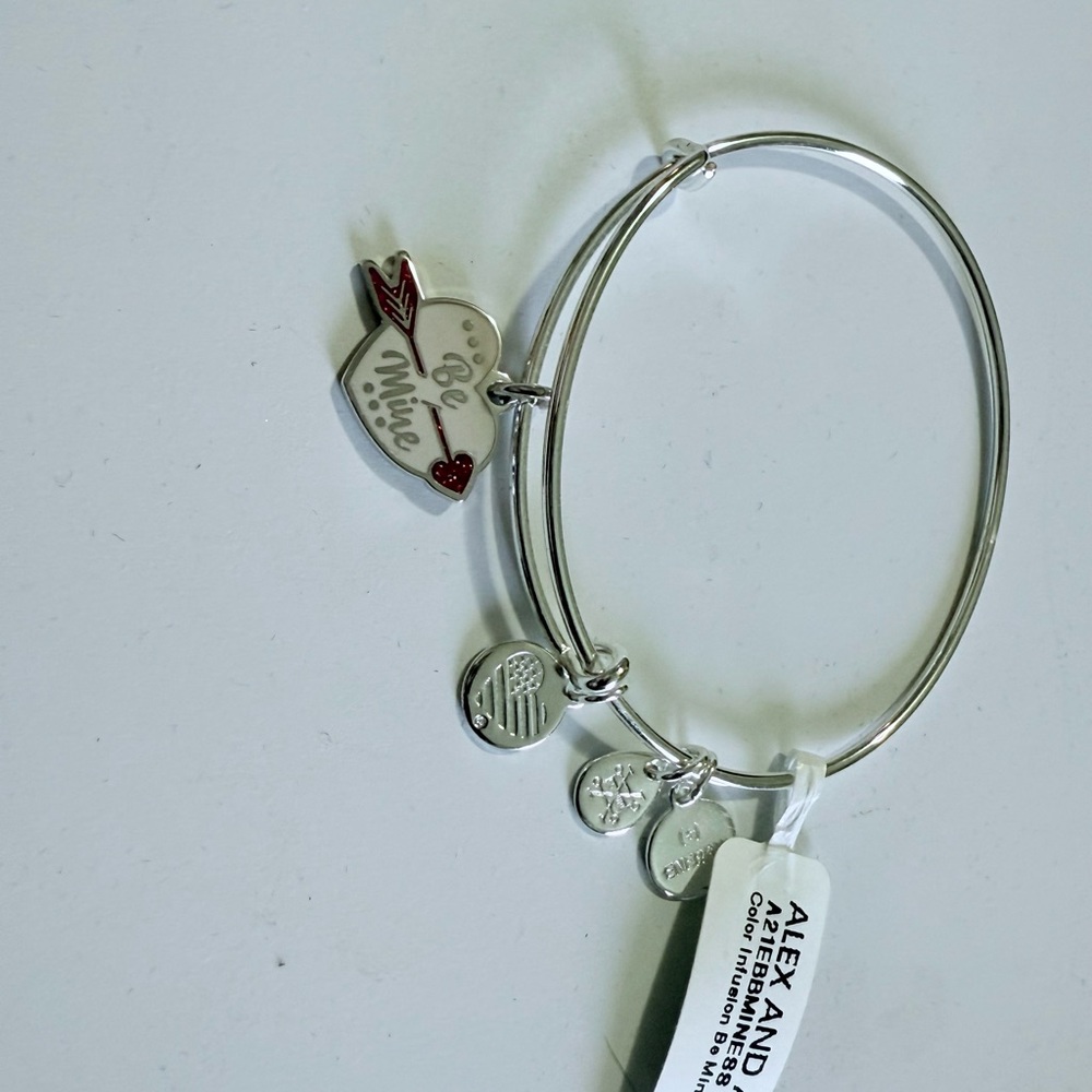 Alex and Ani Silver and Red Charm Bracelet